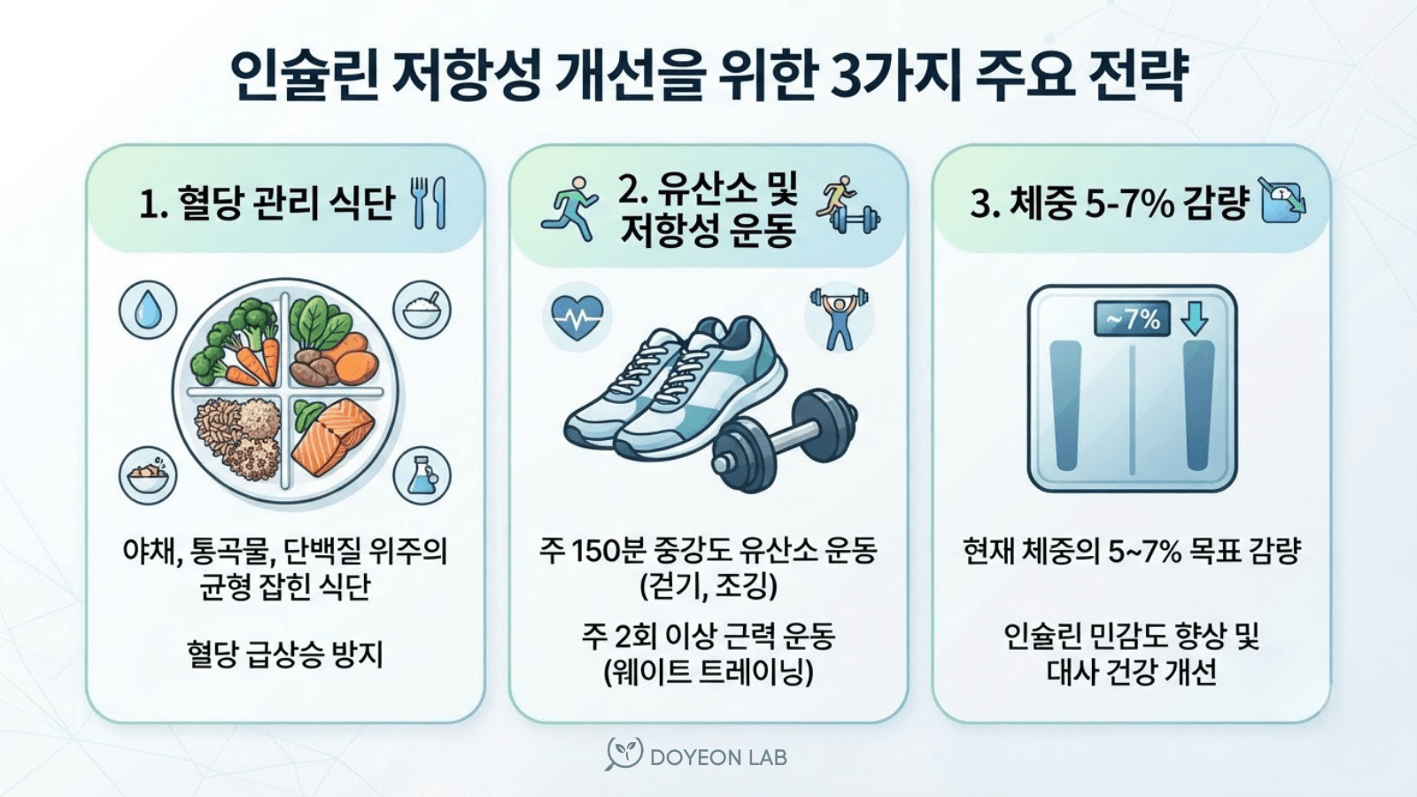 인슐린 저항성 개선 3대 전략 인포그래픽