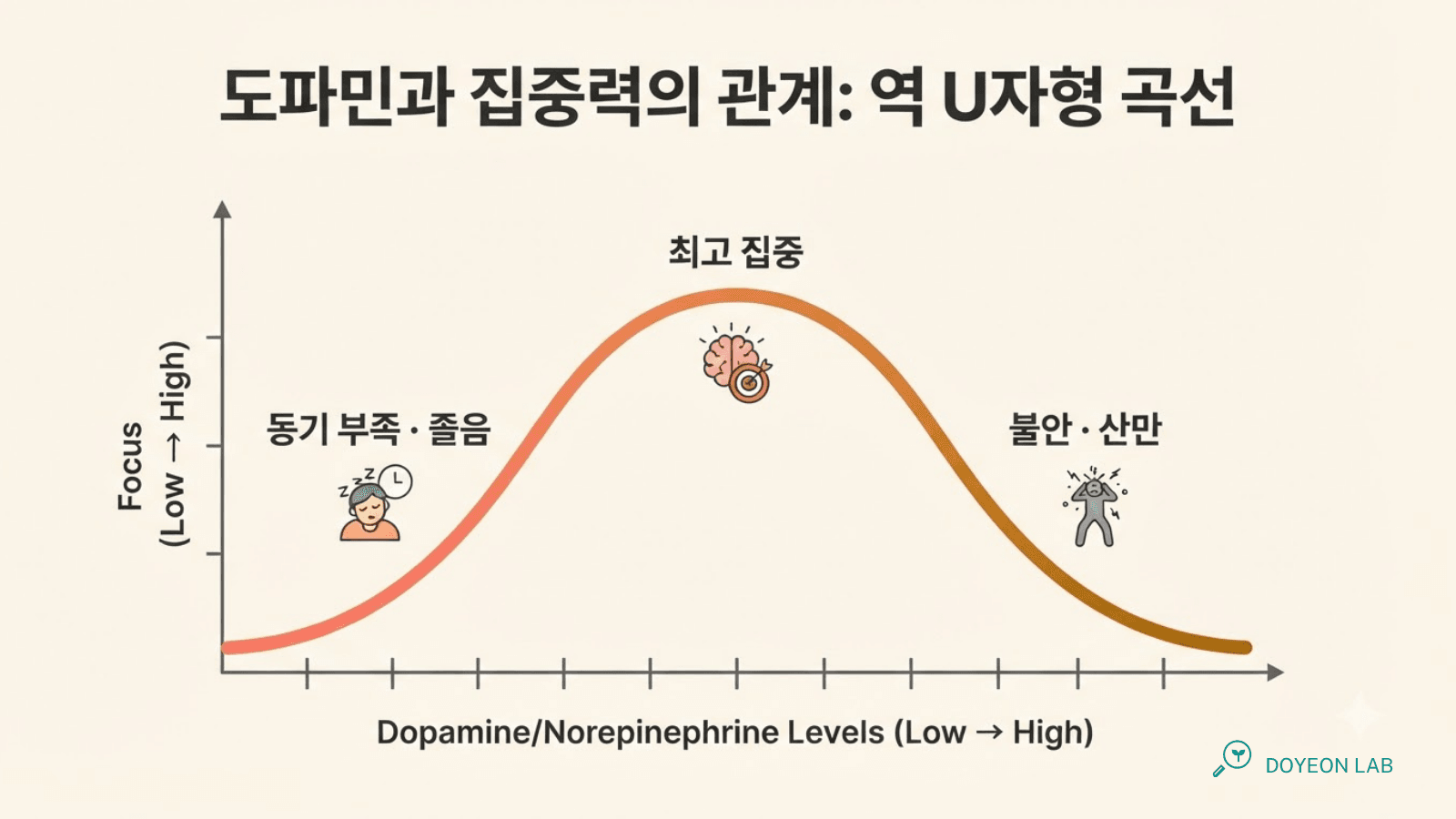 도파민과 집중력의 관계 — 역U자형 곡선 인포그래픽
