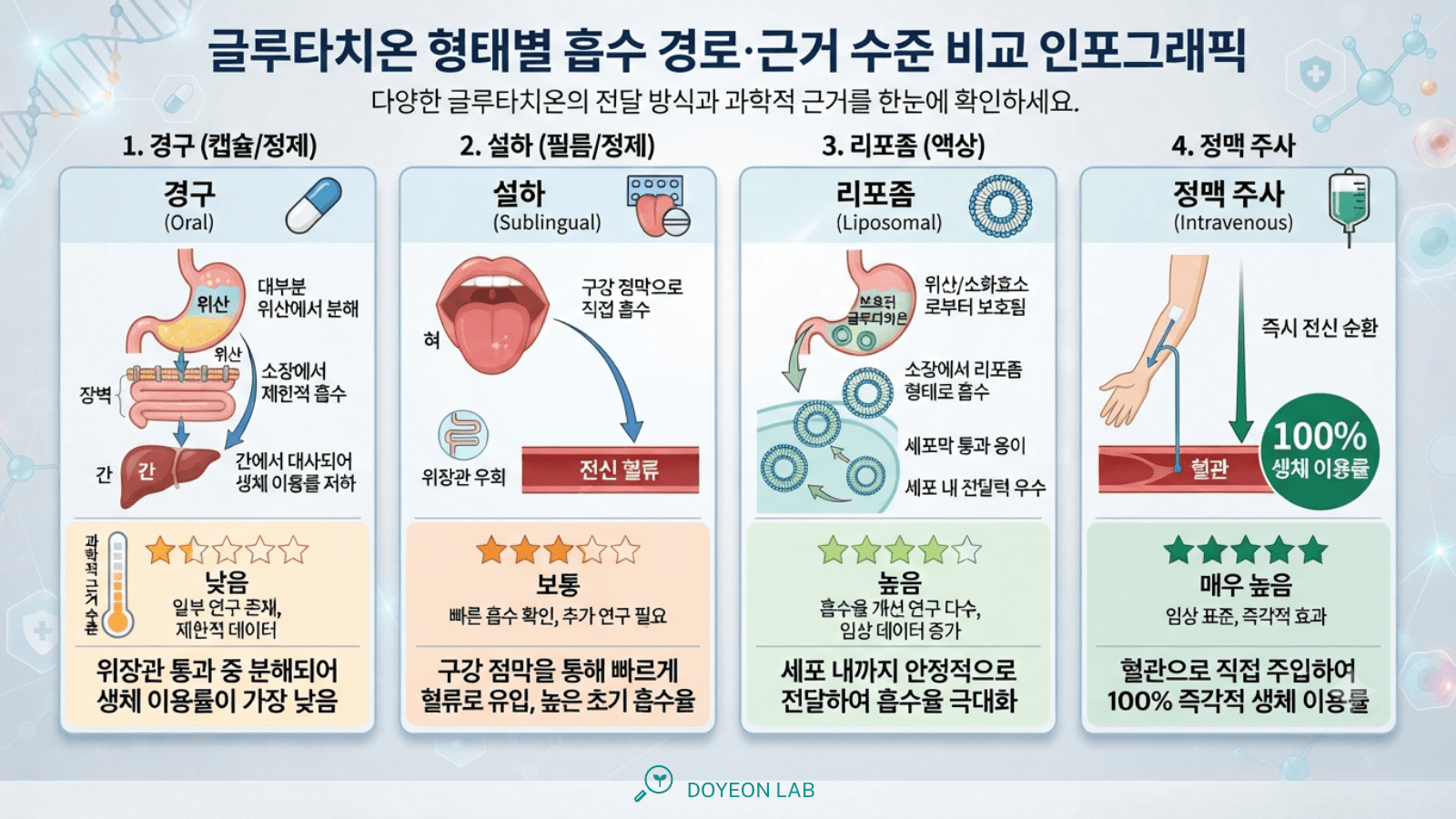  글루타치온 형태별 흡수 경로 비교, 각 형태 근거 수준 표시