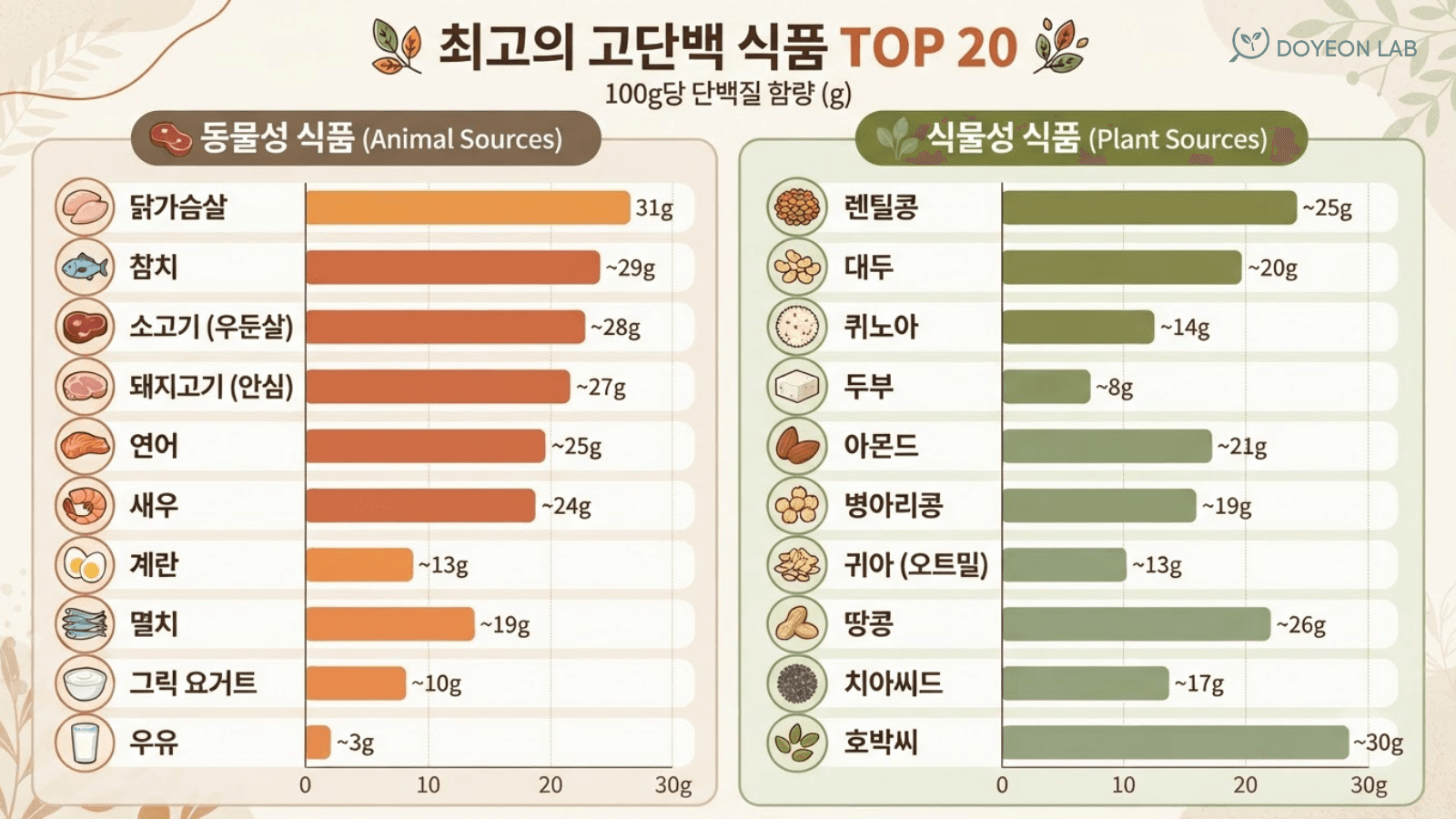 단백질 많은 음식 TOP 20 동물성 식물성 비교