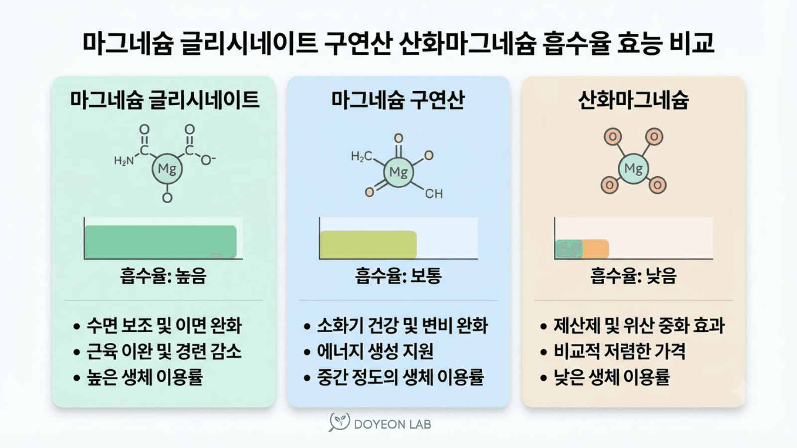 마그네슘 글리시네이트 구연산 마그네슘 산화마그네슘 흡수율 효능 비교 인포그래픽