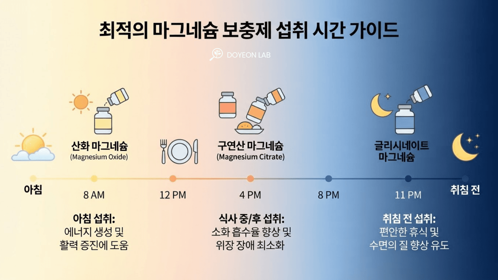 마그네슘 종류별 복용 시간 가이드 타임라인