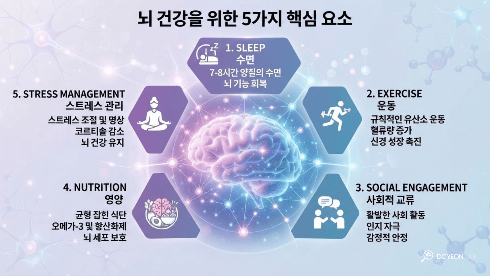뉴로웰니스 뇌 건강 5대 요소 수면 운동 사회활동 영양 스트레스