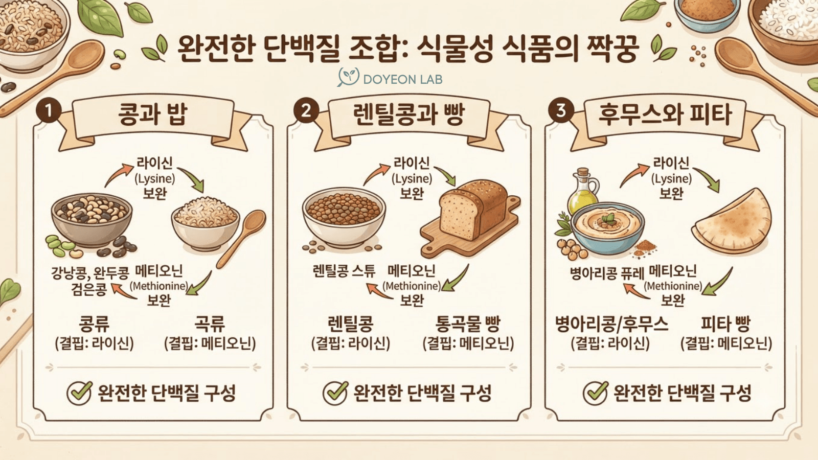 식물성 단백질 아미노산 보완 조합 콩 곡류 조합