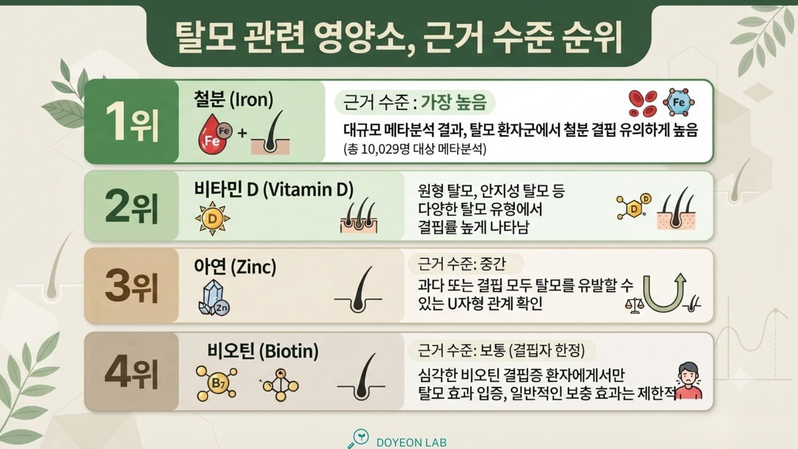 탈모 관련 영양소, 근거 수준 순위(1위 철분·10,029명 메타분석 → 2위 비타민D·유형별 결핍률 → 3위 아연·U자형 → 4위 비오틴·결핍자 한정