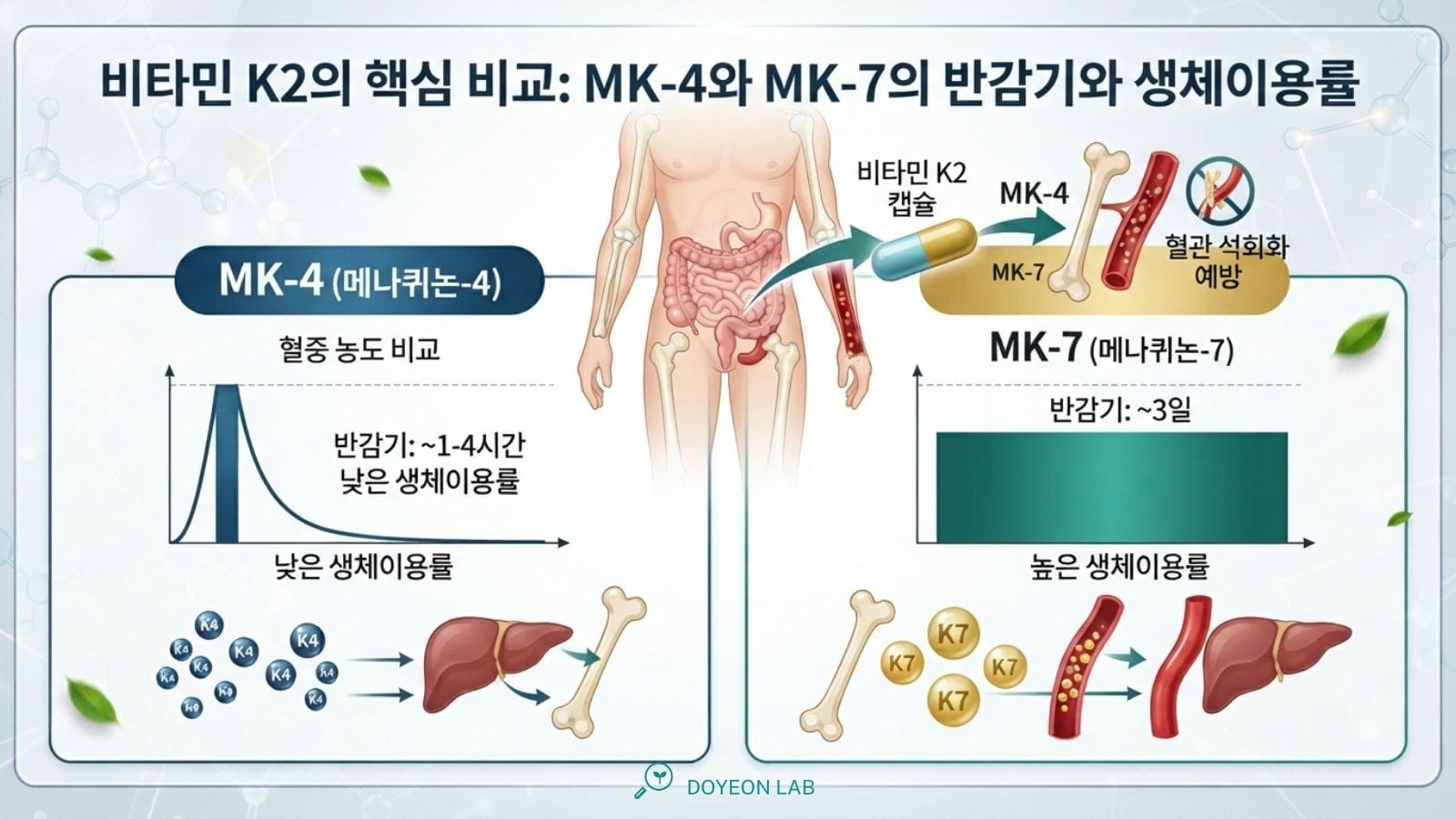 MK-4 vs MK-7