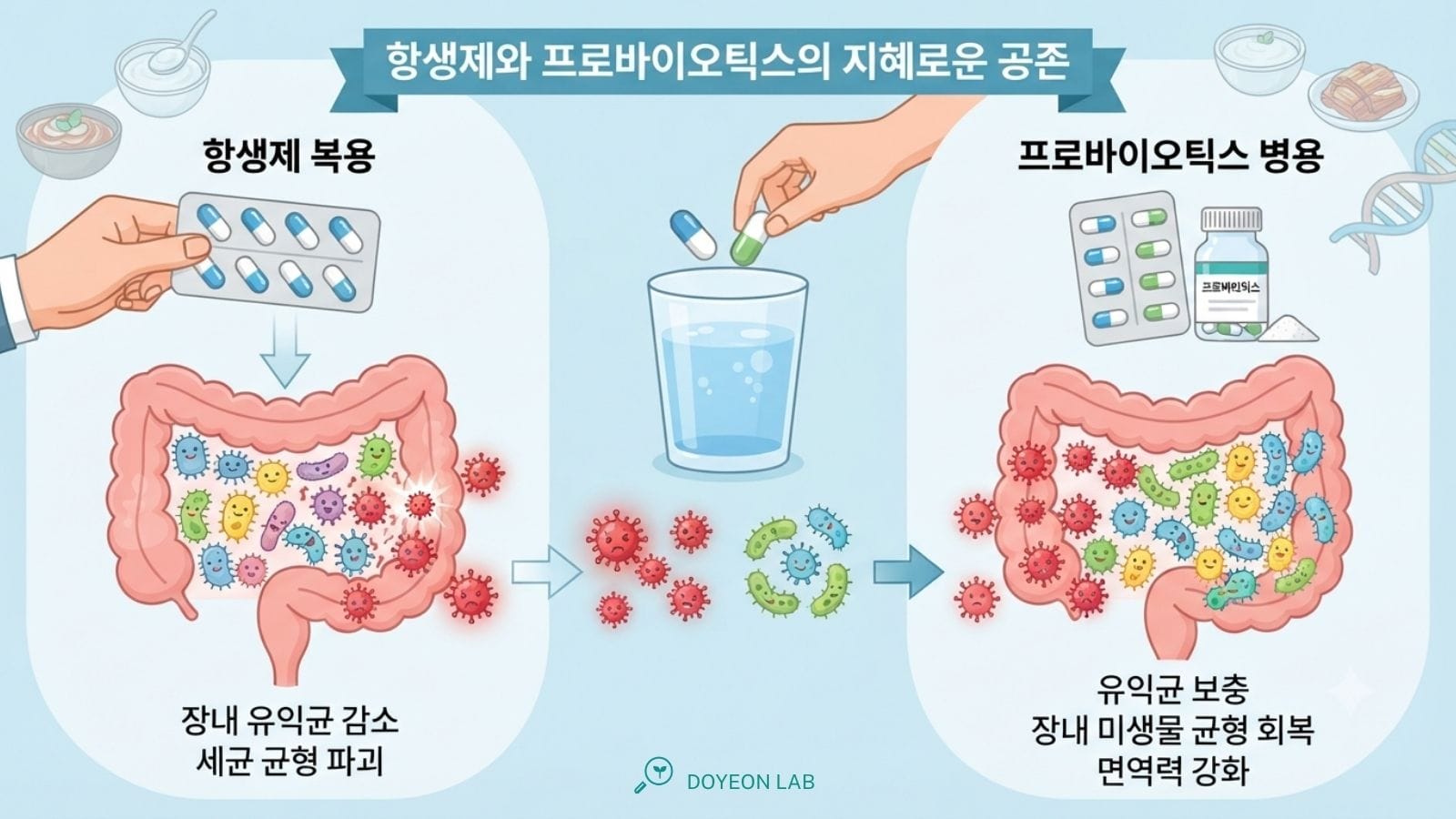 항생제와 프로바이오틱스의 지혜로운 공존